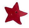 Red Extra Large Star